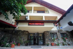 Teju Hotels